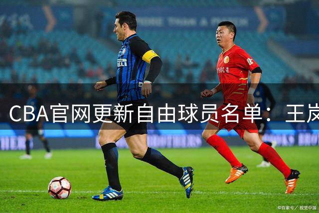 CBA官网更新自由球员名单：王岚嵚、赖克新增在列