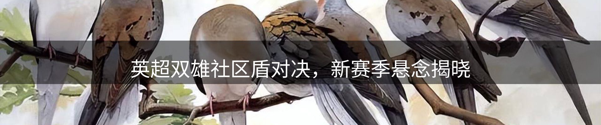 资讯动态